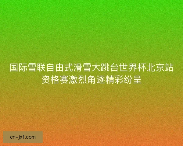 国际雪联自由式滑雪大跳台世界杯北京站资格赛激烈角逐精彩纷呈